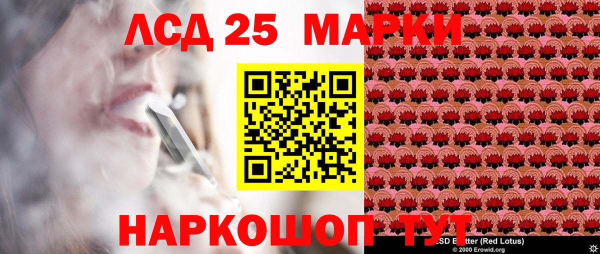 Марки 25I-NBOMe  Вход с VPN  Лесной  Наркотические марки 1500мкг  Наркотические марки 1500мкг 