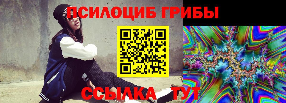 Псилоцибиновые грибы Psilocybine cubensis  Вход с VPN  Лесной 